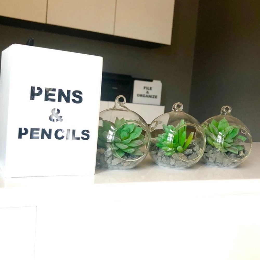 Set of 3 succulent terrariums - Picture 13 of 16